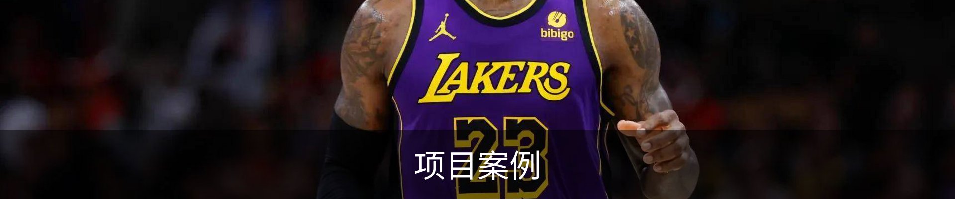 项目案例